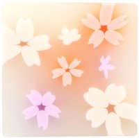 Radergummi blomma sakura