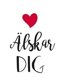 bokomslag Älskar dig