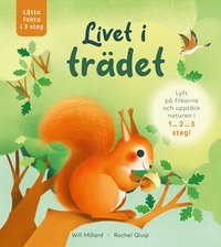 bokomslag Livet i trädet