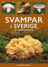 bokomslag Svampar i Sverige och Nordeuropa